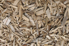 biomass boilers Trewarmett